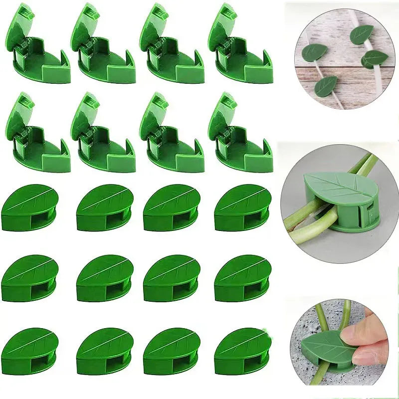 10/20/50 Pcs Plant Climbing Wall Fixture Rattan Vine Bracket Fixed Buckle Leaf Clips Traction Holder Garden опора для растений