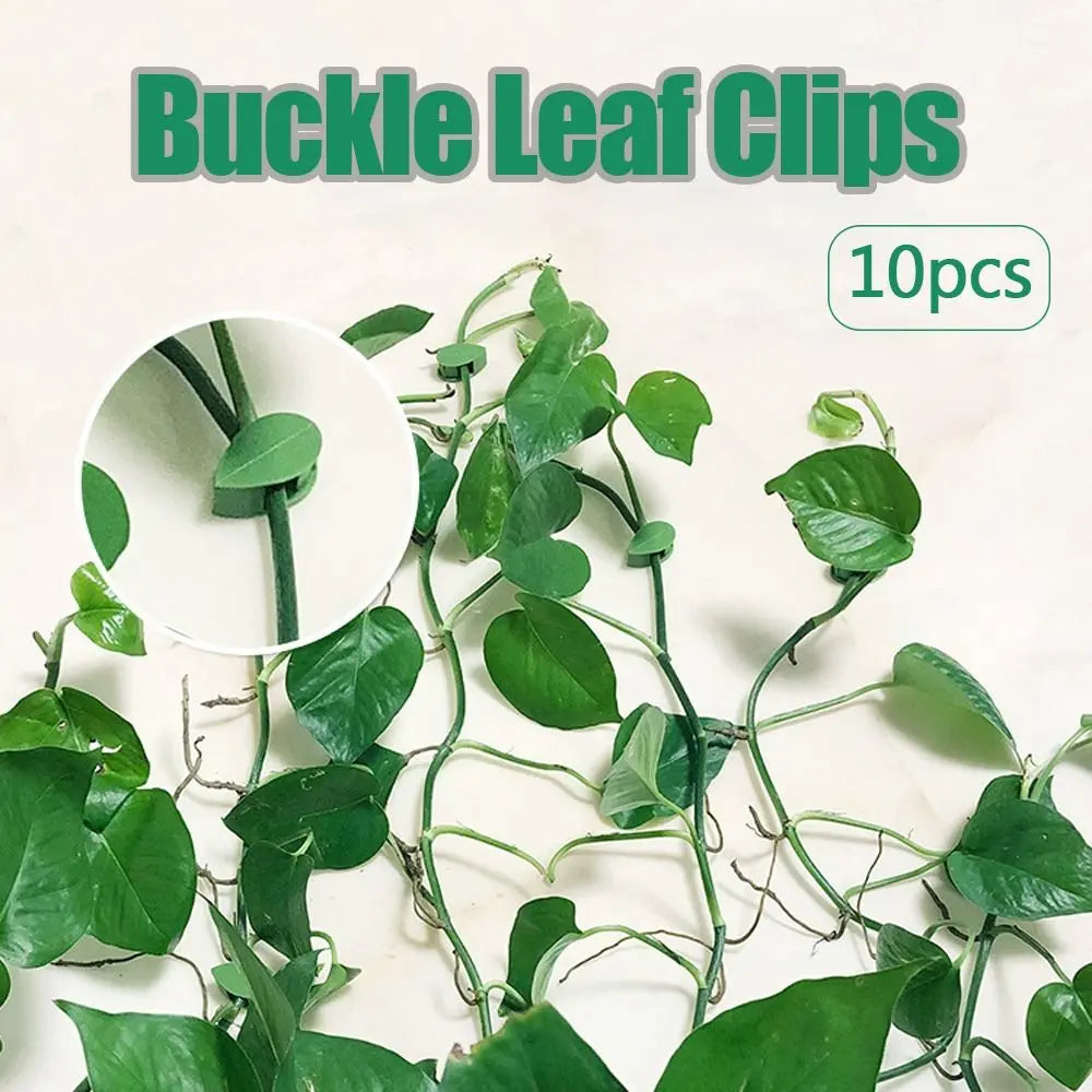 10PCS Buckle Leaf Clips Plant Climbing Wall Fixed Buckle Leaf Shaped Clips Self-Adhesive Flower Vine Climber Support Accessories