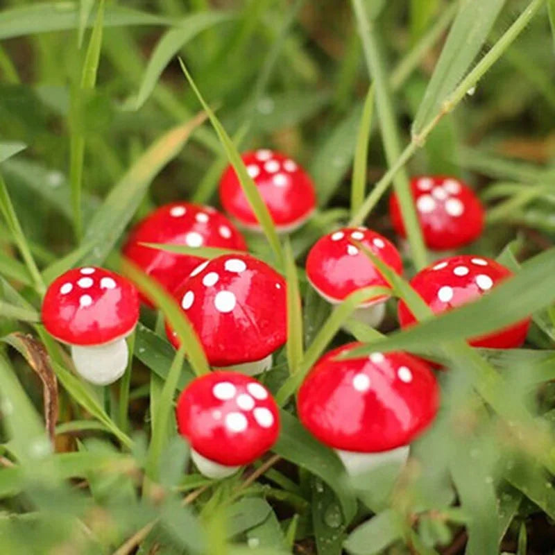 10Pcs/Set Artificial Mini Mushroom Miniatures Fairy Garden Moss Terrarium Resin Crafts Decorations Stakes Craft 2cm 3cm